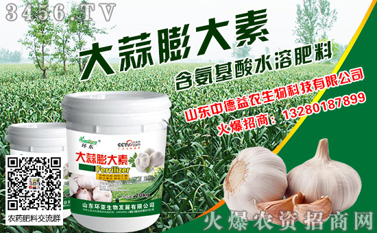 2019年大蒜什么時(shí)候種植好 播種時(shí)間 全國(guó)大蒜種植時(shí)間表 2019年大蒜什么時(shí)候種植好 播種時(shí)間 全國(guó)大蒜種植時(shí)間表