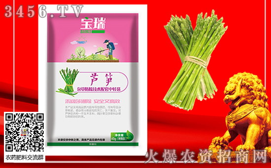 2020年種植蘆筍有前景嗎??jī)r(jià)格多少錢(qián)一斤?種植效益如何? 2020年種植蘆筍有前景嗎??jī)r(jià)格多少錢(qián)一斤?種植效益如何?