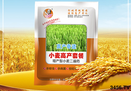 冬小麥為啥一片黃,一片青?原因已找到,快點(diǎn)來對(duì)照! 冬小麥為啥一片黃,一片青?原因已找到,快點(diǎn)來對(duì)照!