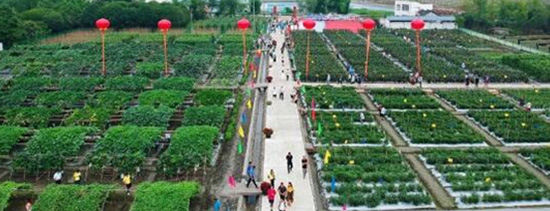 2020r(nng)Y[(hu)ճek^ļȫ憢(dng)