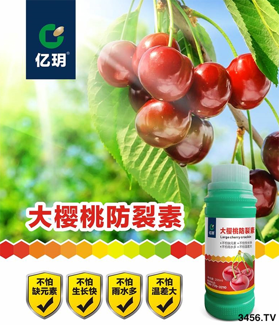 2020N10ҴsٍXF(xin)ڙXһãmϷNֲʲôطxδʩЩ