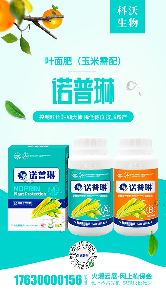 2020-5-1河北地區(qū)玉米價(jià)格出廠報(bào)價(jià)一覽 2020-5-1河北地區(qū)玉米價(jià)格出廠報(bào)價(jià)一覽