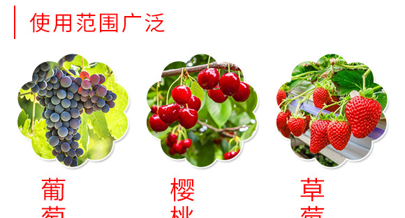 微量元素水溶肥-苒色-艾姆斯特 微量元素水溶肥-苒色-艾姆斯特