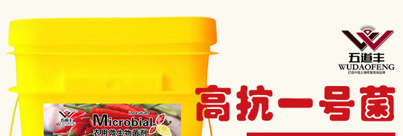 高抗1號菌(農(nóng)用微生物菌劑)-五道豐 高抗1號菌(農(nóng)用微生物菌劑)-五道豐