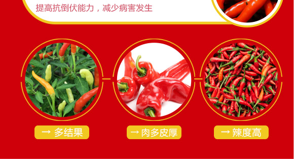 婕渤甯傚倕鐗屽啘涓氱鎶鏈夐檺鍏徃2_06.jpg 婕渤甯傚倕鐗屽啘涓氱鎶鏈夐檺鍏徃2_06.jpg