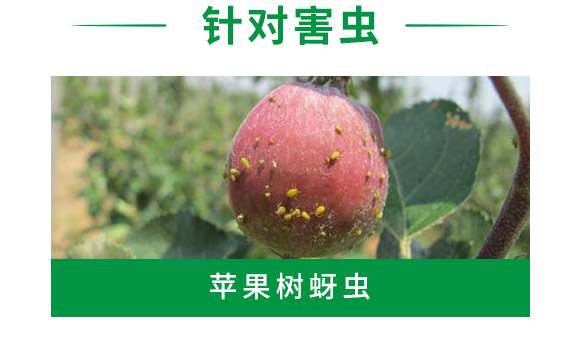 吡蟲(chóng)啉-順堯農(nóng)業(yè) 吡蟲(chóng)啉-順堯農(nóng)業(yè)