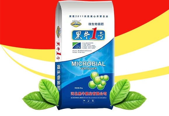 ΢-ţ1̖-ţʘI(y)