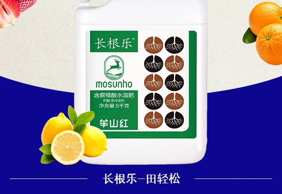 VԴֳˮܷ-L(zhng)(l)-p