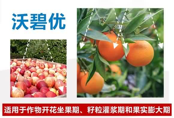 大量元素水溶肥料0-500-600+TE-沃碧優(yōu)-沃立格 大量元素水溶肥料0-500-600+TE-沃碧優(yōu)-沃立格