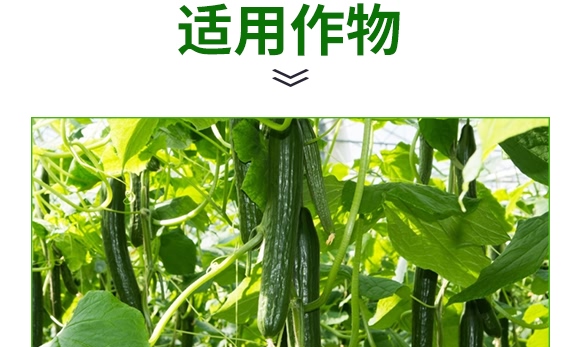 根寶·礦源腐殖酸鉀-碳戀-廣宇通 根寶·礦源腐殖酸鉀-碳戀-廣宇通
