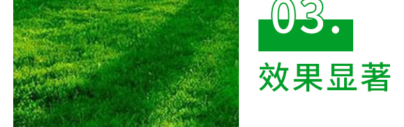 5g噁霉靈水分散粒劑-土紳-長(zhǎng)雙農(nóng)藥 5g噁霉靈水分散粒劑-土紳-長(zhǎng)雙農(nóng)藥