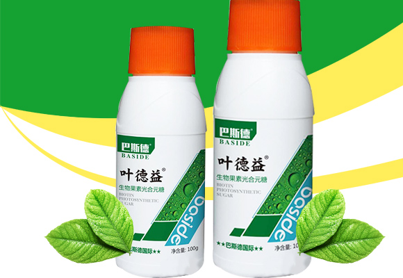 生物果素光合元糖-叶d益_02.jpg