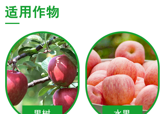 生物果素光合元糖-叶d益_04.jpg
