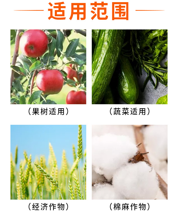 紓烽吀浜屾阿閽?鍏拌壊緇忓吀_05.jpg 紓烽吀浜屾阿閽?鍏拌壊緇忓吀_05.jpg