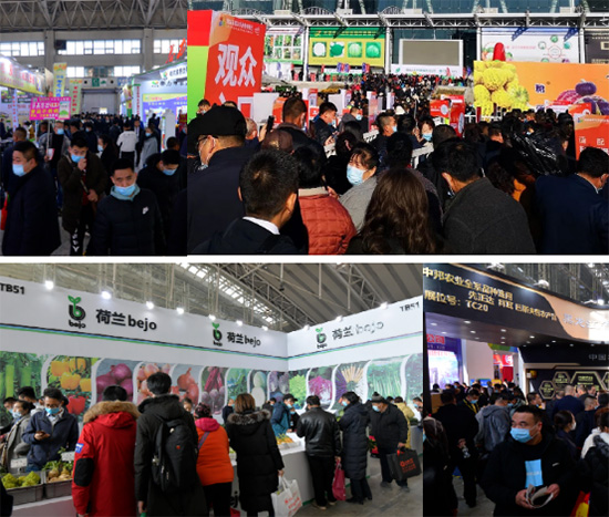 (sh)|26ùINI(y)[(hu)AM(mn)Ļ