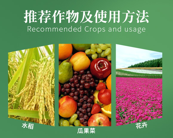涔欒挏绱犱鉤娌?瀹濈劧鐢熺墿200g_05.jpg 涔欒挏绱犱鉤娌?瀹濈劧鐢熺墿200g_05.jpg