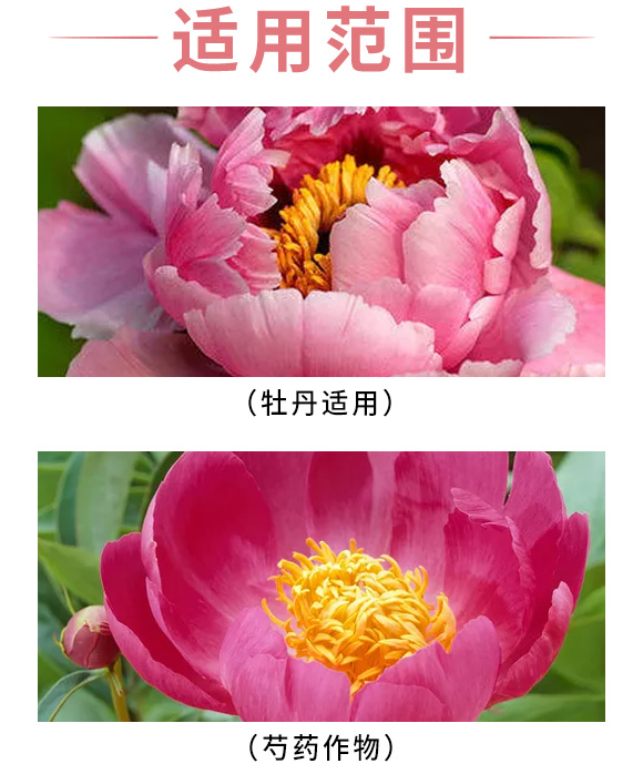 芍藥、牡丹芍藥科中藥材除草劑-富美 芍藥、牡丹芍藥科中藥材除草劑-富美