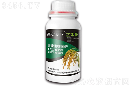 水稻什么時(shí)候播種 水稻播種時(shí)間 水稻種植技術(shù)與管理 水稻什么時(shí)候播種 水稻播種時(shí)間 水稻種植技術(shù)與管理