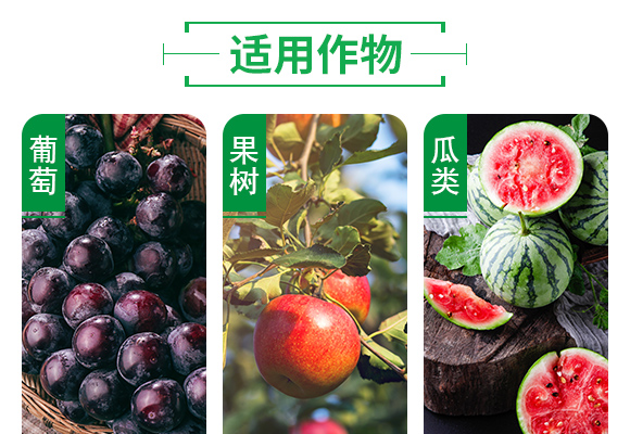 25%鍣昏櫕鍡?zhèn)瑡巩鍓俖05.jpg 25%鍣昏櫕鍡?zhèn)瑡巩鍓俖05.jpg