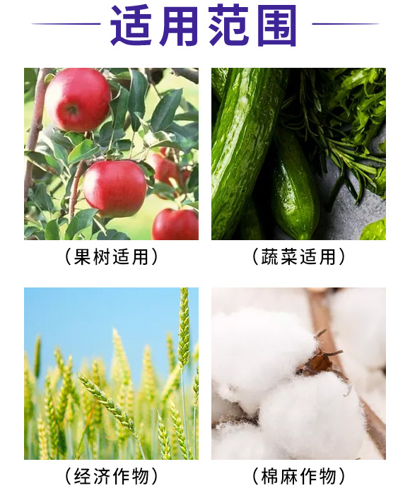 枯草·哈茨木霉?李秀才_05.jpg