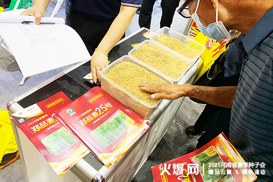 溫縣噸玉種業(yè)誠邀您參展2021河南省夏季種子會(huì)! 溫縣噸玉種業(yè)誠邀您參展2021河南省夏季種子會(huì)!