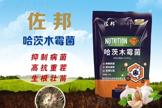 زpa(chn)20%ٲξˣľù߿ز