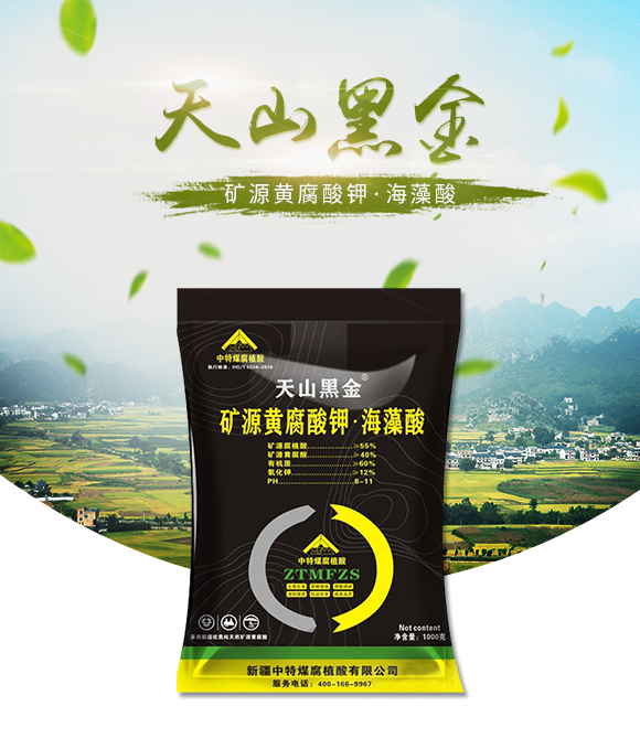 矿源黄腐酔R·?天山黑金-中特煤_01.jpg