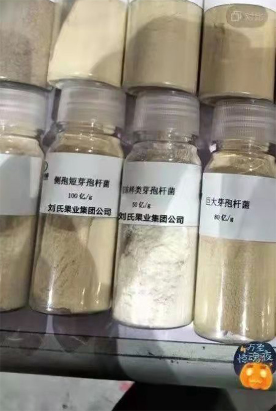 寰俊鍥劇墖_20211130095509.jpg