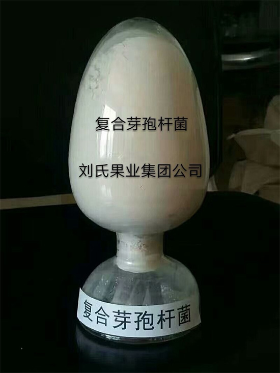 寰俊鍥劇墖_20211130095552.jpg