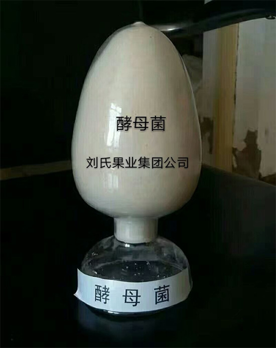 寰俊鍥劇墖_20211130095555.jpg
