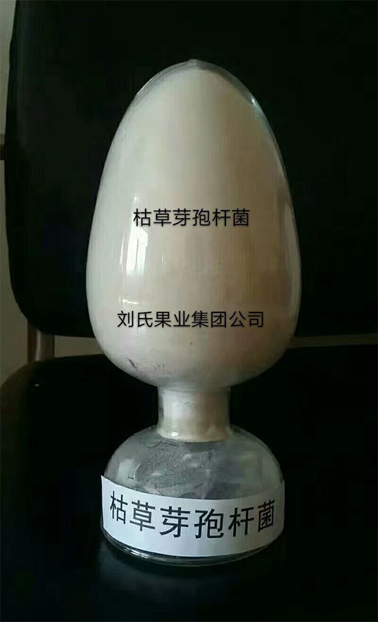 寰俊鍥劇墖_20211130095558.jpg