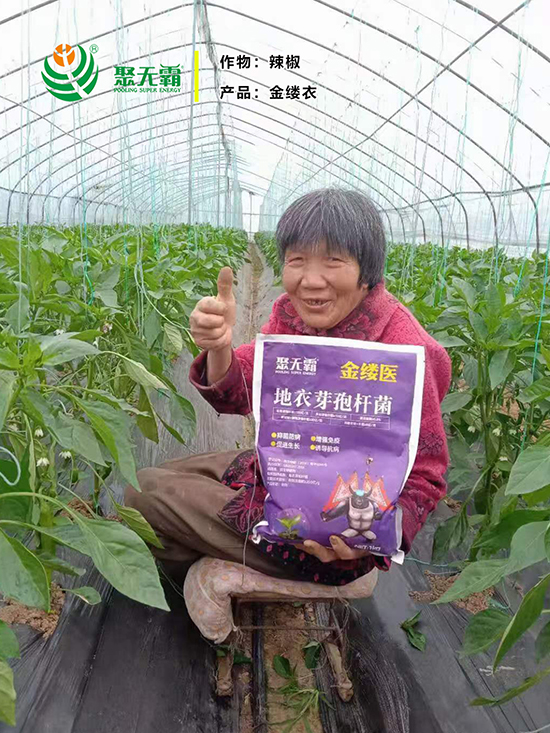 金缕d芽孢杆?聚无?.jpg