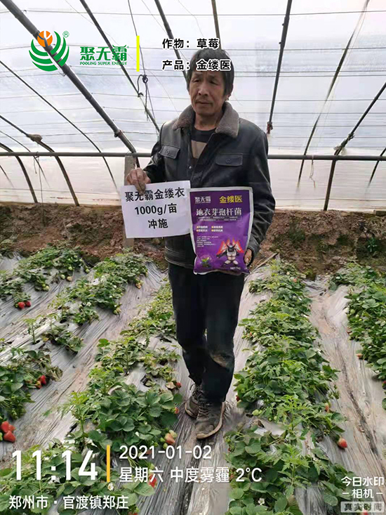 金缕d芽孢杆?聚无?.jpg
