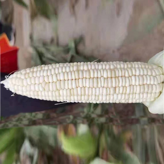 6.jpg 6.jpg