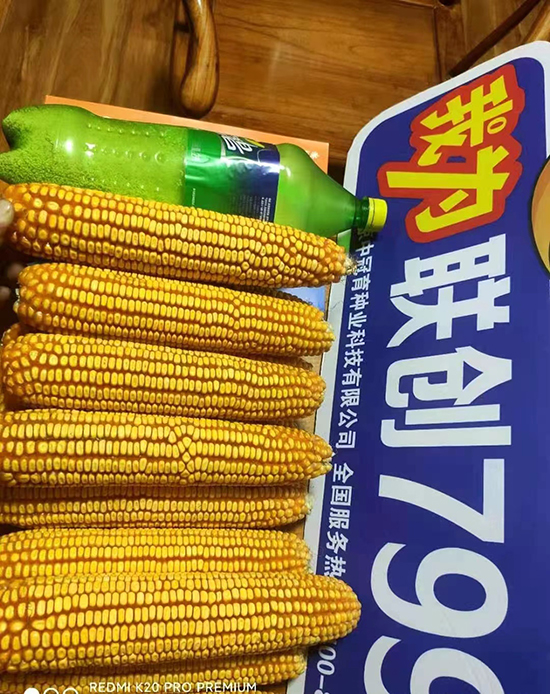 2.jpg 2.jpg