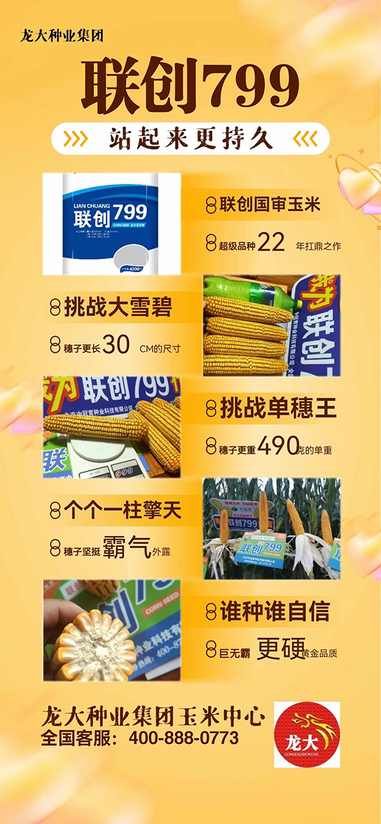 3.jpg 3.jpg