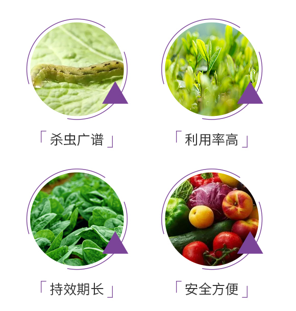 鐢茬淮路铏灗鑵堟?zhèn)瑡巩鍓?瀹濈劧鐢熺墿_05.jpg 鐢茬淮路铏灗鑵堟?zhèn)瑡巩鍓?瀹濈劧鐢熺墿_05.jpg