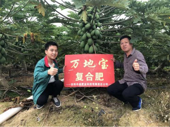 鏈爣棰?4.jpg 鏈爣棰?4.jpg