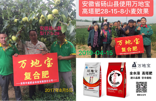 鏈爣棰?5.jpg 鏈爣棰?5.jpg