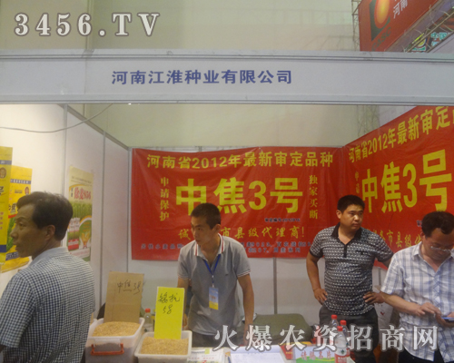 江淮種業(yè)盛裝參展2013河南夏季種子會