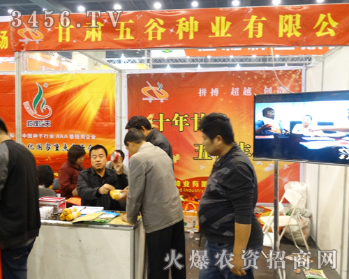 甘肅五谷種業(yè)不負秋望,在2013河南種子會上滿載而歸