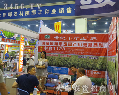 2016鄭州種子交易會(huì)河北邯鄲農(nóng)科院邯豐種業(yè)大展拳腳!