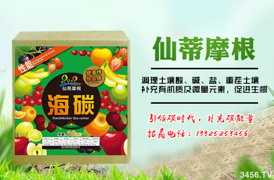 意大利帕沃尼—碳時代,補(bǔ)充碳能量