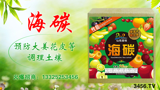 意大利帕沃尼—碳時代,補(bǔ)充碳能量