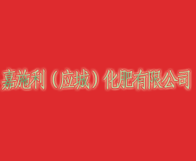 ʩǣ޹˾