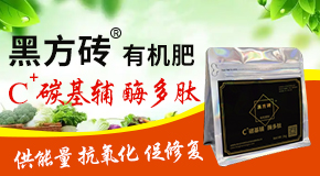 ۹Sr(nng)I(y)Ƽl(f)չ޹˾