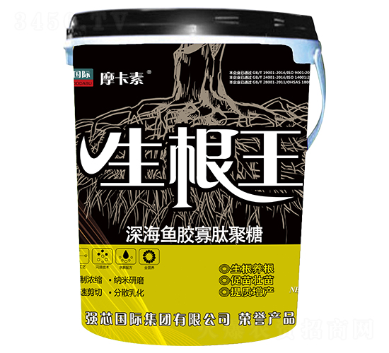 -Ħ-(qing)о(gu)H