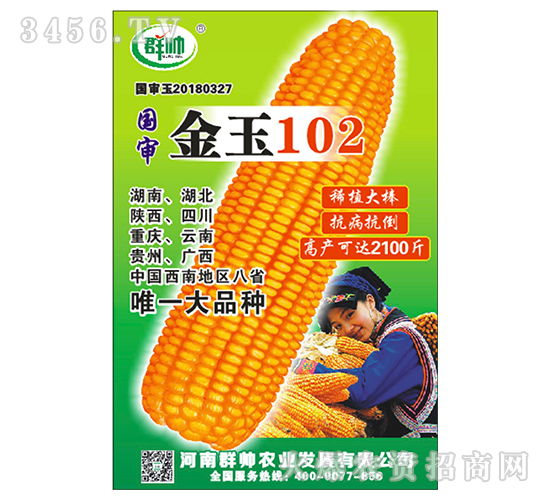 2021玉米種子什么品種好?驚喜來了!金玉102讓農(nóng)民種植高產(chǎn)! 2021玉米種子什么品種好?驚喜來了!金玉102讓農(nóng)民種植高產(chǎn)!