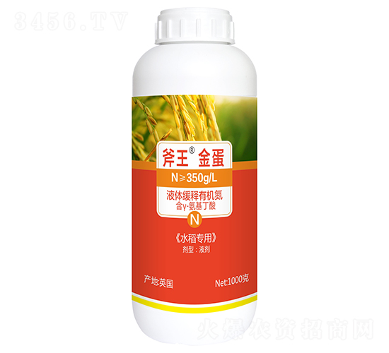 1000gҺwЙCˮã--巉