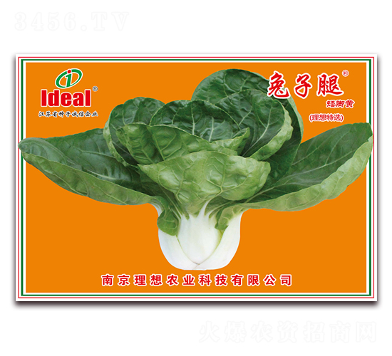 Ȱ_S-Сײ˷N-rI(y)